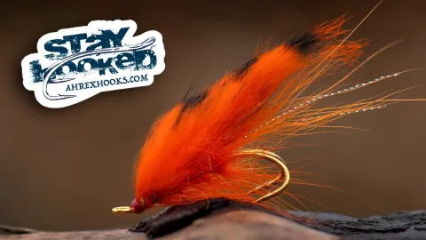 Video thumb for GP Zonker