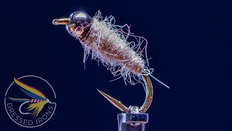 Video thumb for Walt's Worm