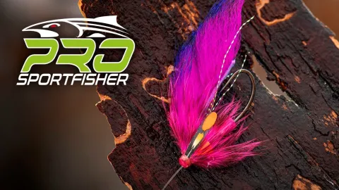 Video thumb for POP Zonker