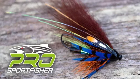 Video thumb for Thunder & Lightning Variant