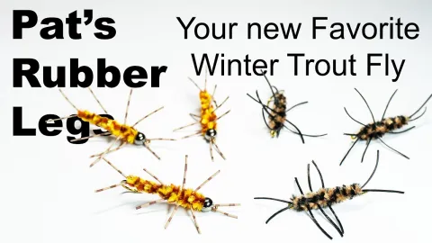 Video thumb for Pat's Rubber Legs