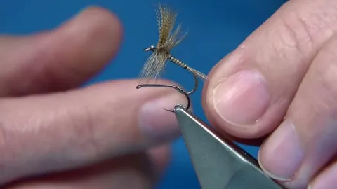 Video thumb for Impressionist Quilled Gordon