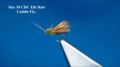 Video thumb for CDC Caddis