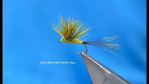Video thumb for Irish Mayfly Dun