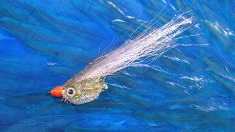 Video thumb for Rattle Clouser