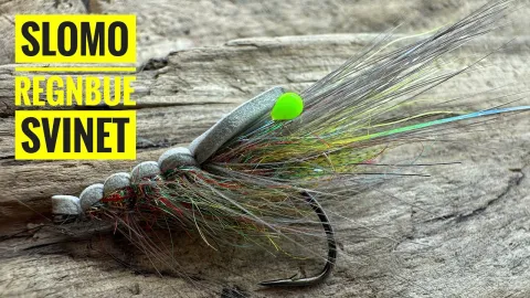 Video thumb for SloMo Rainbow Pig