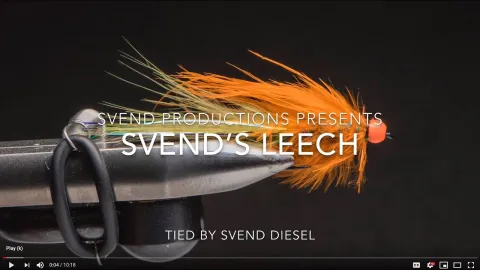 Video thumb for Svend’s Leech