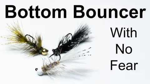 Video thumb for Mini Jigged Wooly Bugger