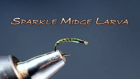 Video thumb for Sparkle Midge Larva