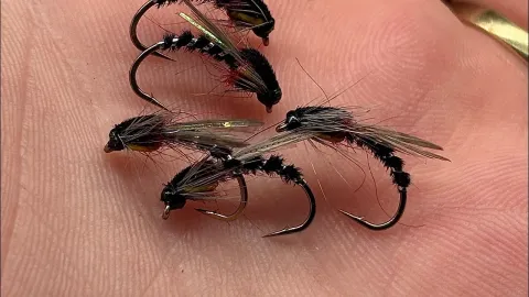 Video thumb for Buzzer Chironomid Wet Emerger