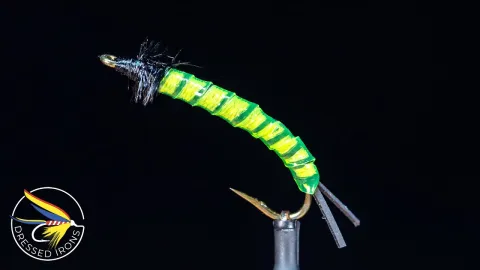 Video thumb for Remnant Fly #43 - Caddis Nymph