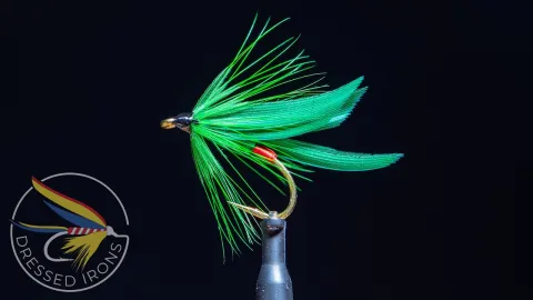 Video thumb for Feted Green