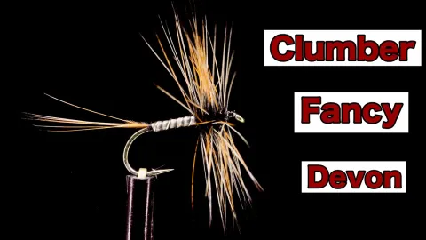 Video thumb for Clumber Fancy