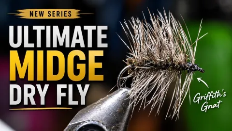 Video thumb for Griffith's Gnat 