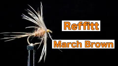Video thumb for Reffitt's March Brown