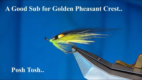 Video thumb for Posh Tosh