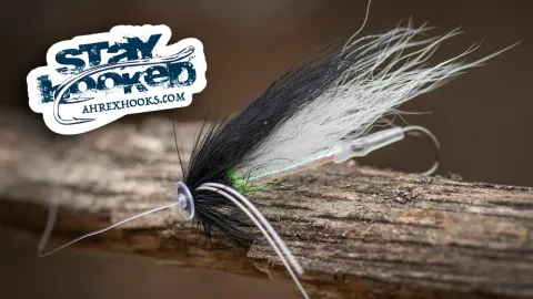 Video thumb for MV Flathead