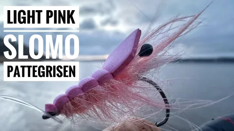 Video thumb for Pink SloMo Piglet