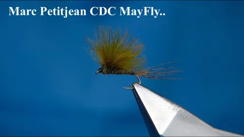 Video thumb for Marc Petitjean CDC MayFly