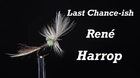 Video thumb for Last Chance-ish