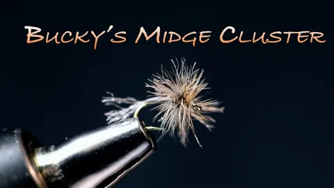 Video thumb for Bucky's Midge Cluster