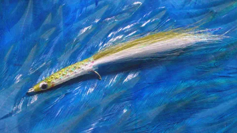 Video thumb for EZ Body Sand Eel