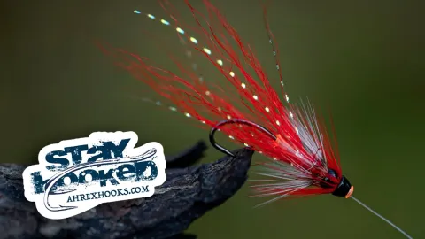 Video thumb for Ally Shrimp Variant