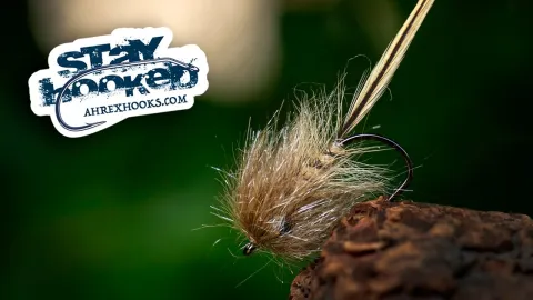 Video thumb for KK Fly