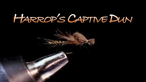 Video thumb for Harrop's Captive Dun