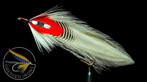 Video thumb for Charles E. Wheeler