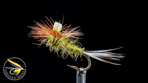 Video thumb for Remnant Fly #46
