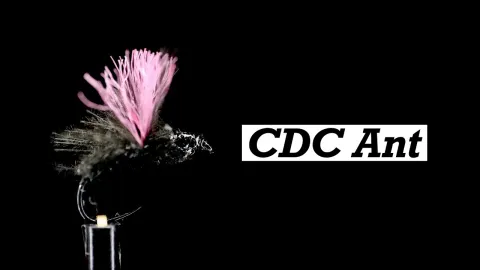Video thumb for CDC Ant Dry Fly