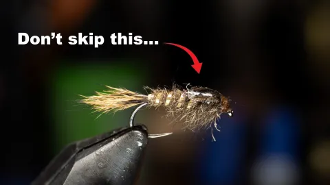 Video thumb for Hares Ear Nymph
