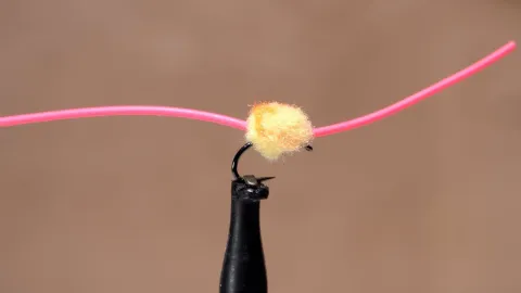 Video thumb for Infamous Pink Worm