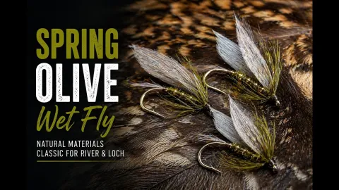 Video thumb for Spring Snipe & Olivewet