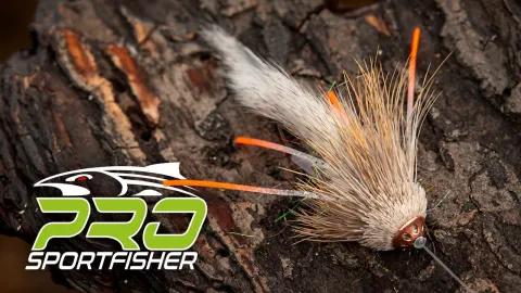 Video thumb for Squirrel Sculpin Munker