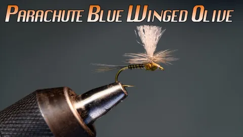 Video thumb for Parachute Blue Winged Olive