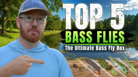 Video thumb for The Only 5 Bass Flies You Really Need