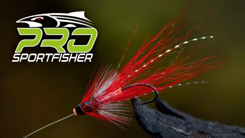 Video thumb for Ally Shrimp Variant