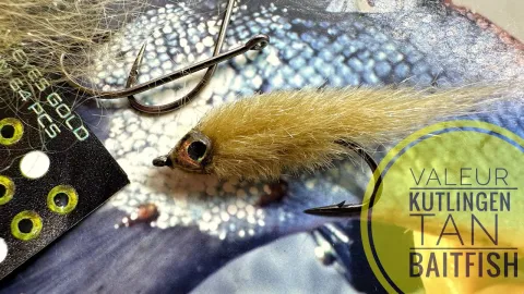 Video thumb for Valeur Goby