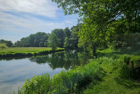 A chalkstream