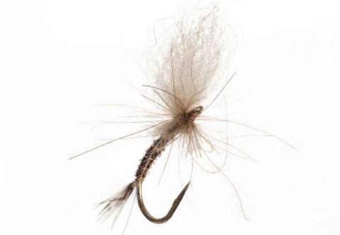 Hare's Paw Emerger