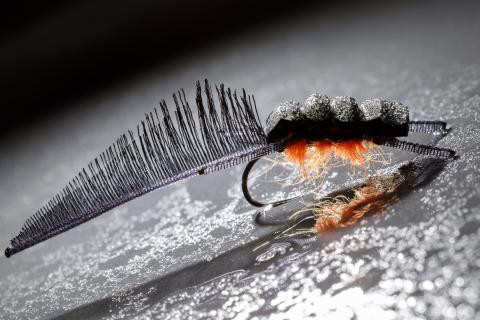 A newt imitation