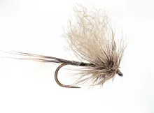 Mayfly Dun