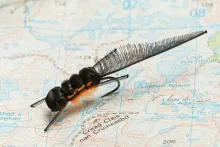 Newkt fishing fly on a map