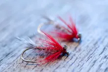 Magnus with bead chain