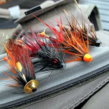 Salmon tubes with cones and discs