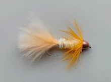 S16