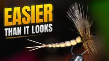 Video thumb for Extended Body Mayfly