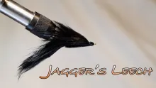 Video thumb for Jagger's Leech